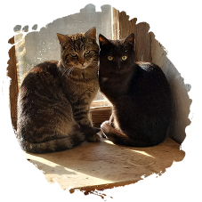 Familien Urlaub am Bauernhof. Spaß für die Ganze Familie